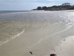 IMG_20230529_171956869.jpg